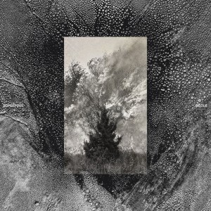 Superpoze — Siécle