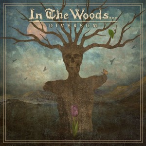 In The Woods — Diversum