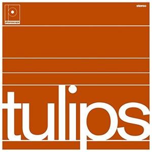 Maston — Tulips