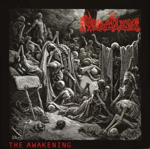 Merciless — The awakening