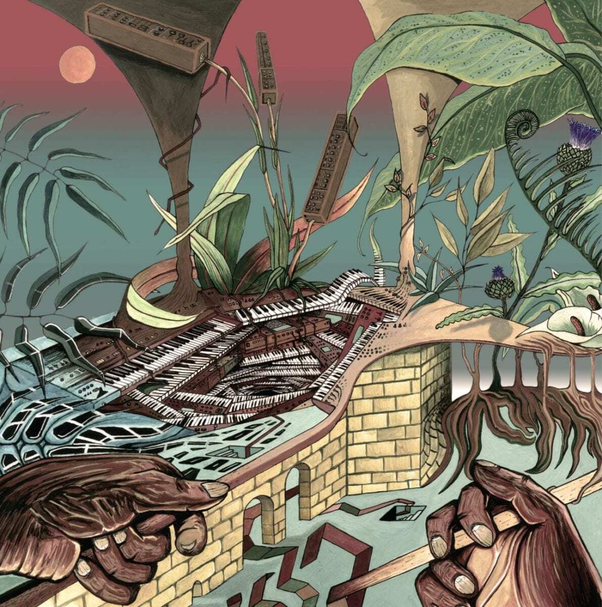 Nu Guinea — The Tony Allen Experiments