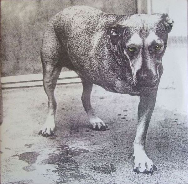 Alice In Chains — Alice In Chains