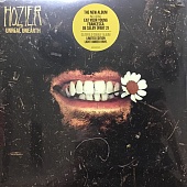 Hozier — Unreal Unearth