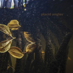 Placid Angles — Touch The Earth