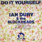 Dury Ian — Do It Yourself