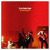 Last Shadow Puppets — The Dream Synopsis (