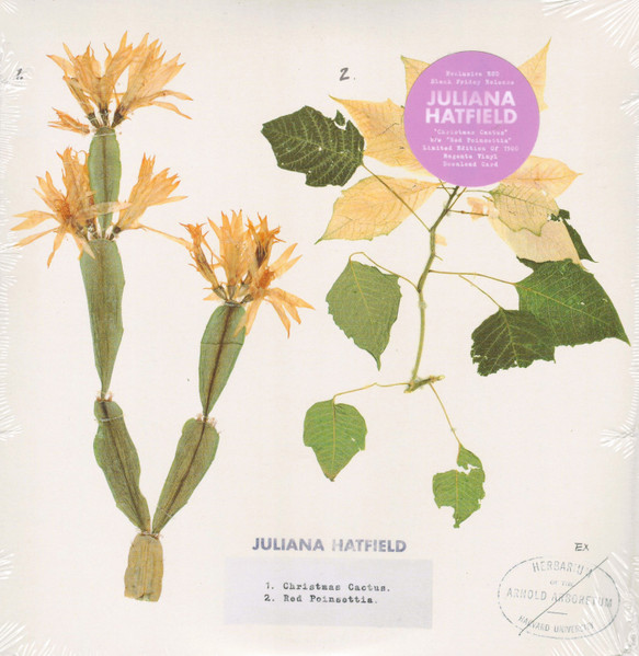 Juliana Hatfield — Christmas Cactus