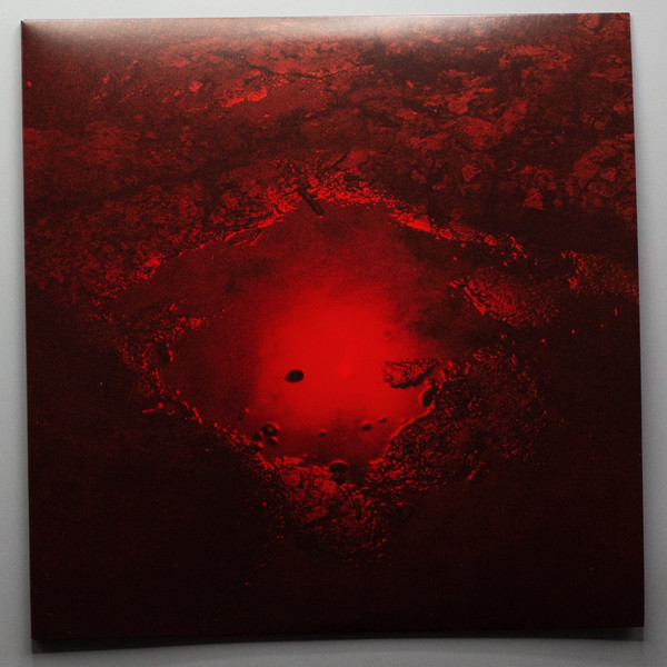 Ekaterina Bazhenova-Yamasaki — Salt Moist Dust Saliva II