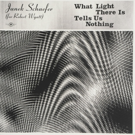 JANEK SCHAEFER — What Light There Is Tells Us Nothing