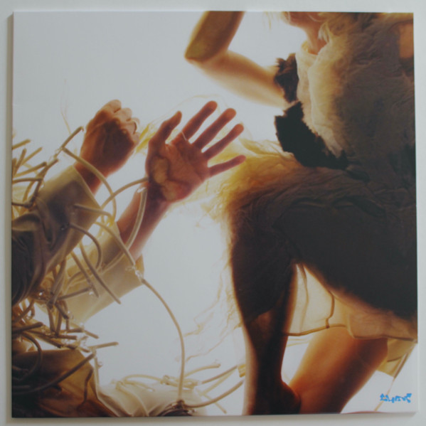LUMP — Animal