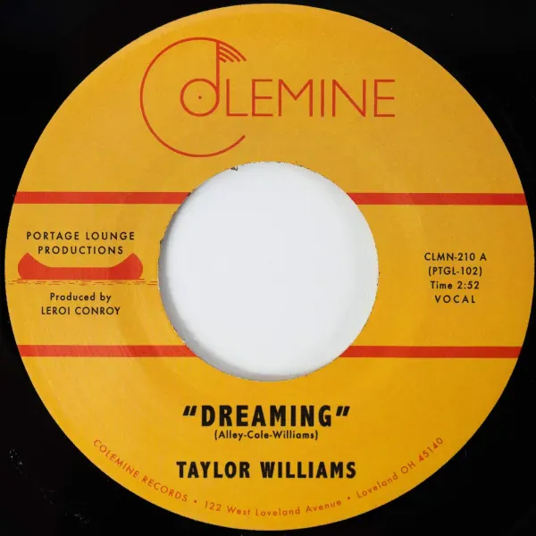 Taylor Williams — Dreaming / What About Me? Релиз 2025