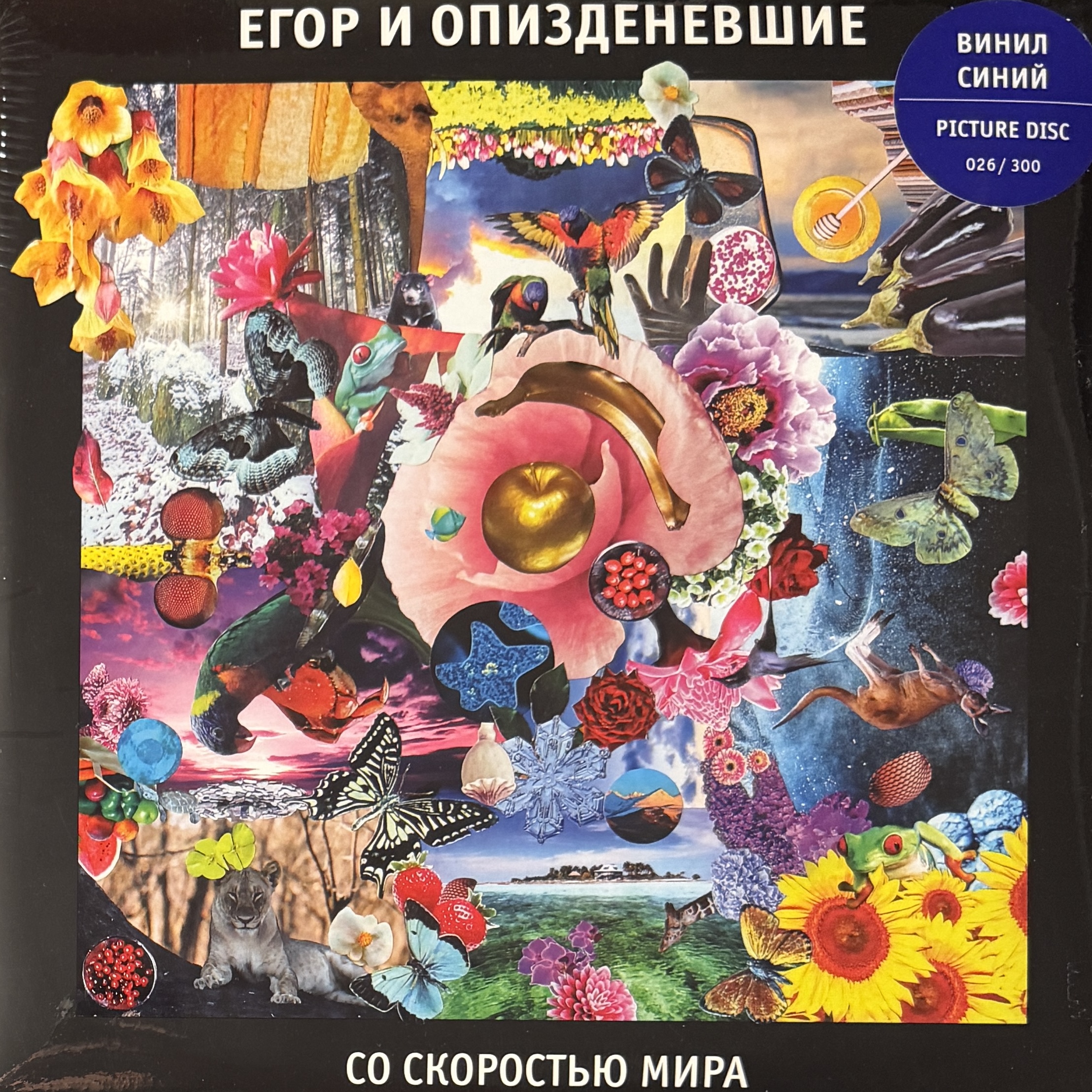 Егор И Опизденевшие — Со Скоростью Мира