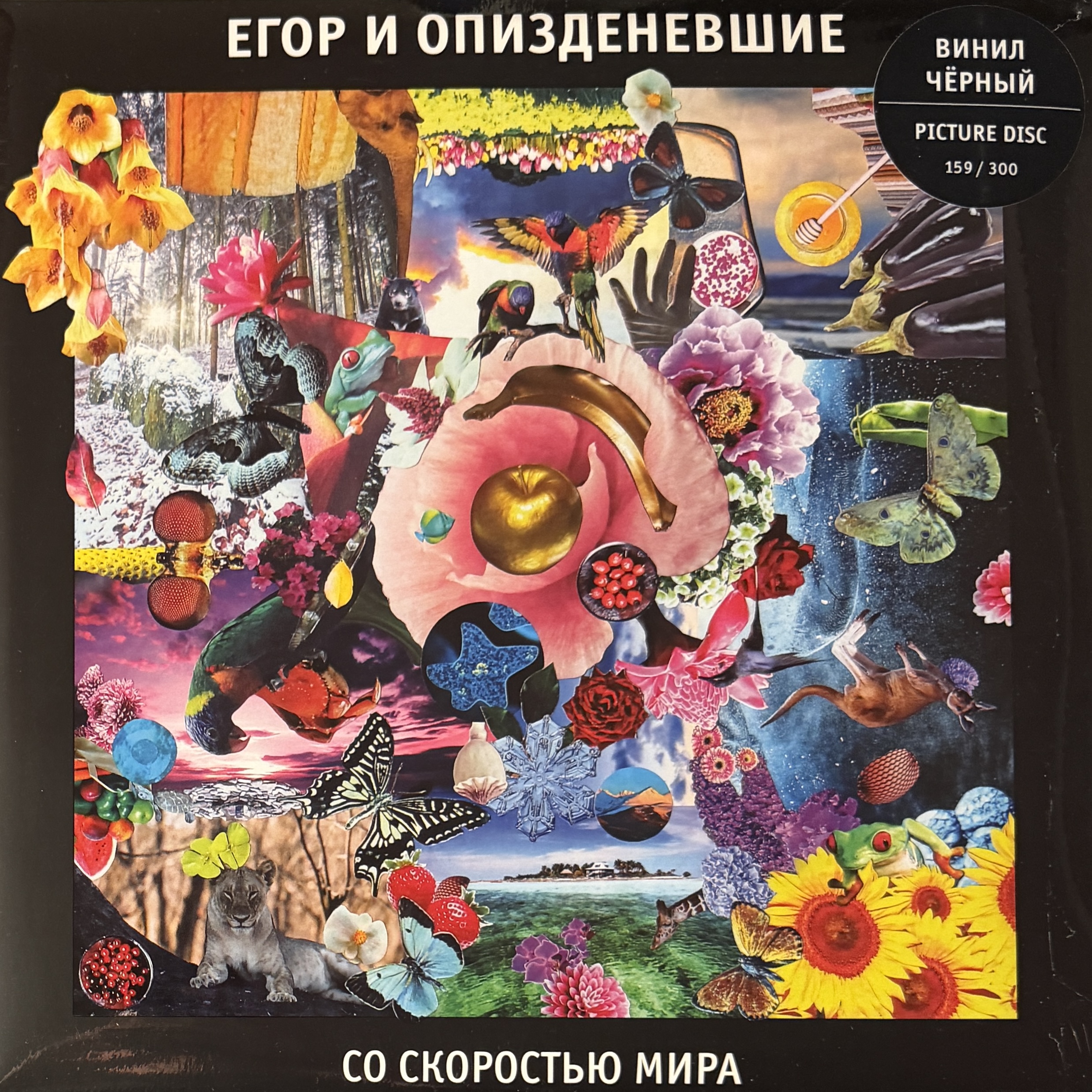 Егор И Опизденевшие — Со Скоростью Мира