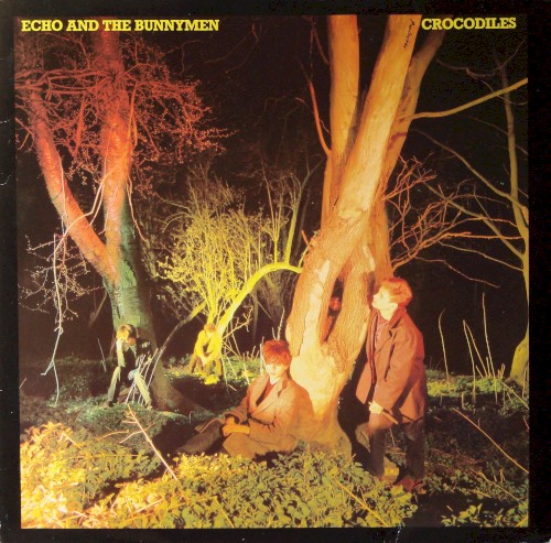Echo and the Bunnymen — Crocodiles