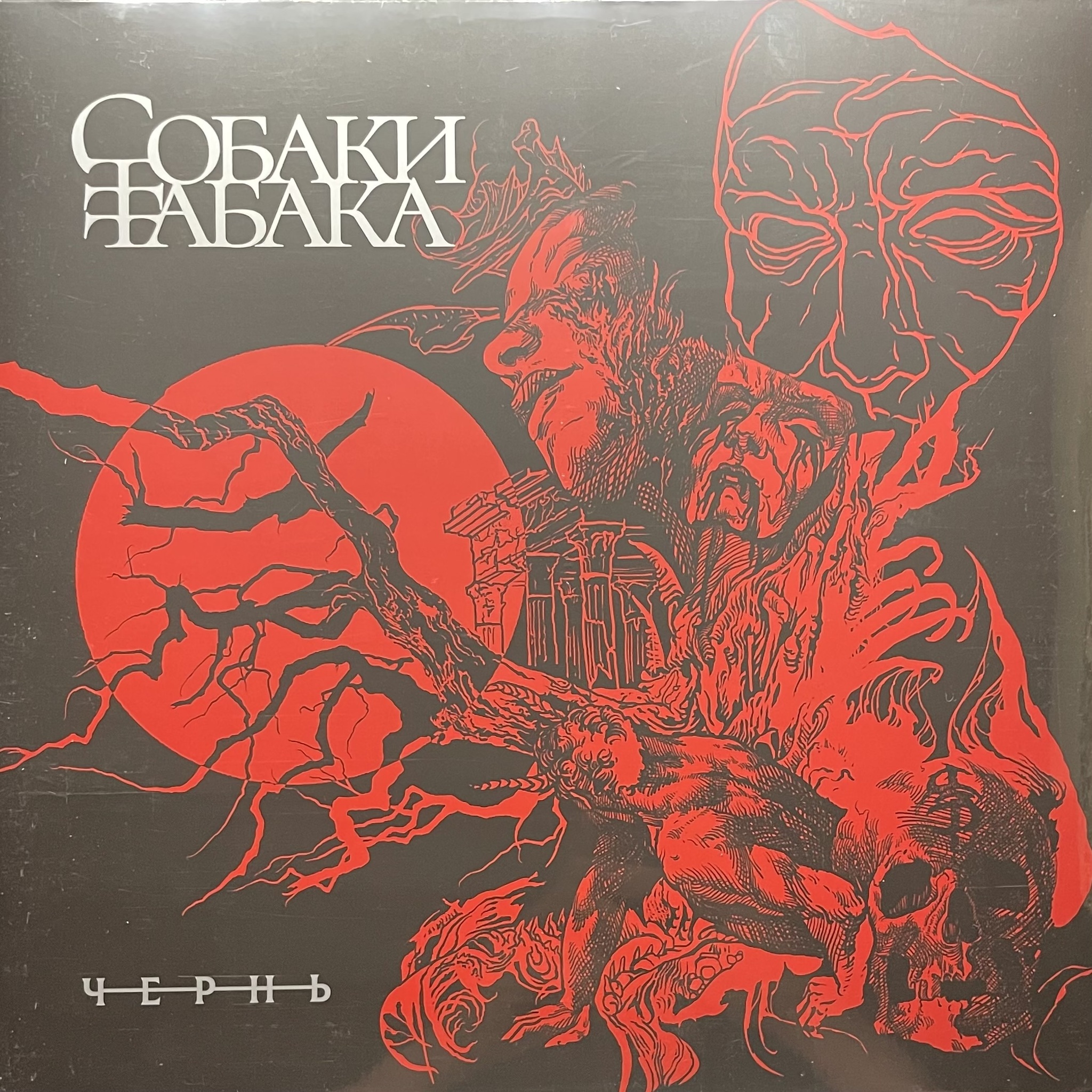 Собаки Табака — Чернь