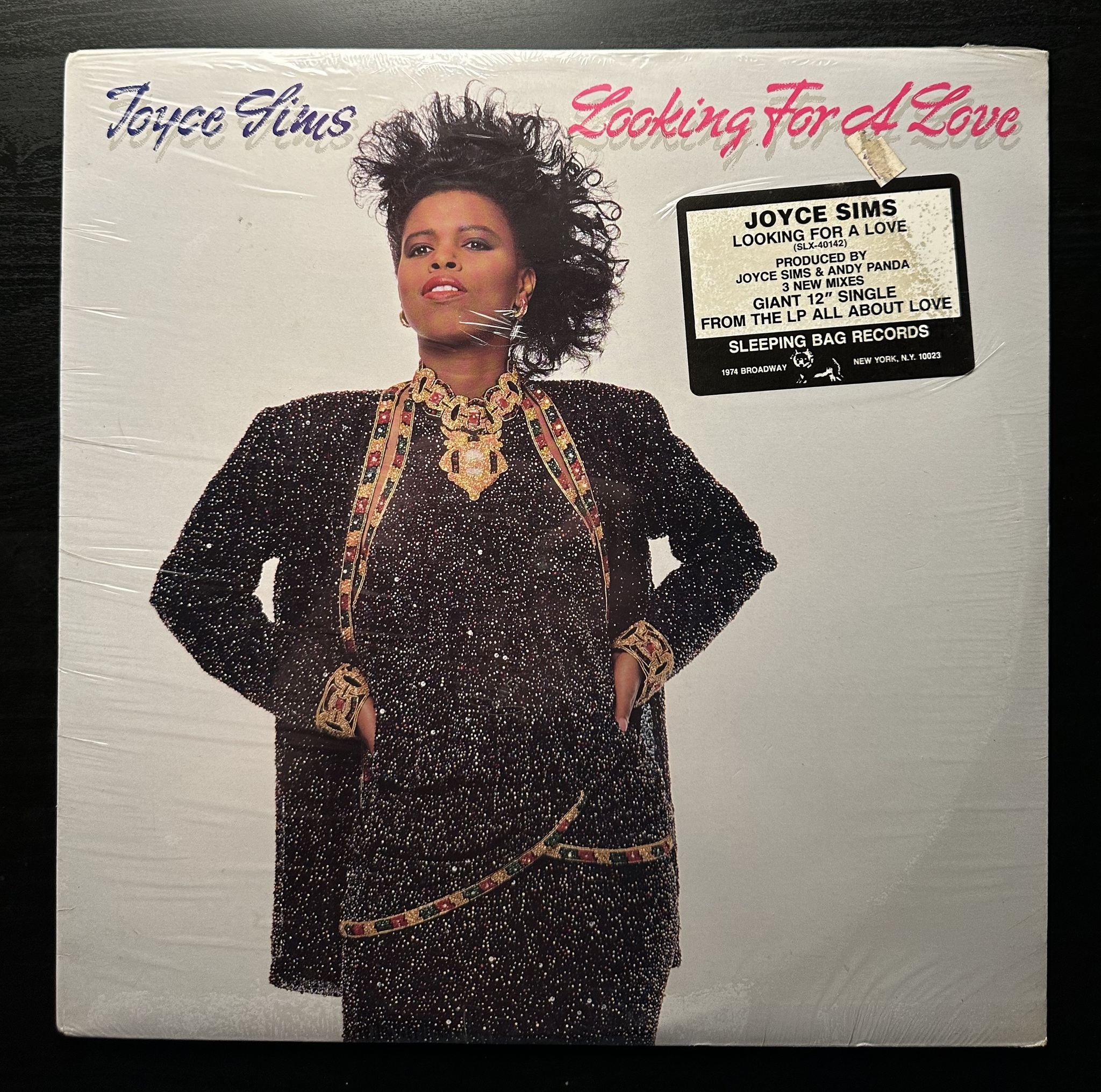 Joyce Sims — Looking For A Love