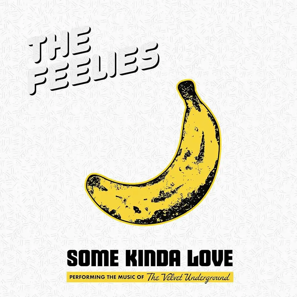 THE FEELIES — Some Kinda Love Performing The Music Of The Velvet Underground