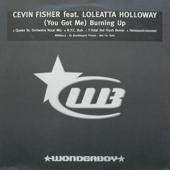 Cevin Fisher — (You Got Me) Burning Up