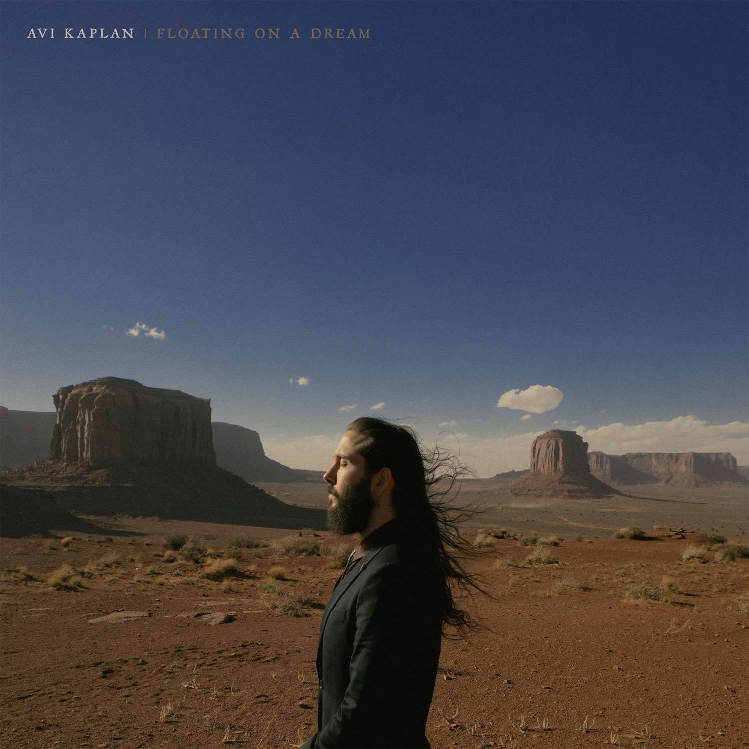 Avi Kaplan — Floating On A Dream (Limited White [Bone Opaque] Vinyl)