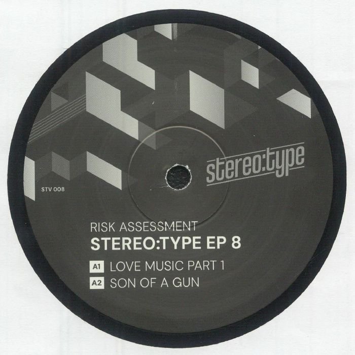 Risk Assessment — Stereo:type EP 8