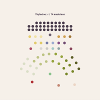 Thylacine — Thylacine And 74 Musicians