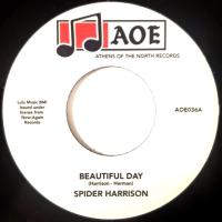 HARRISON SPIDER — BEAUTIFUL DAY