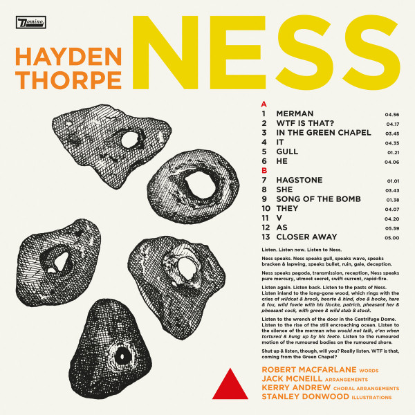 Hayden Thorpe — Ness