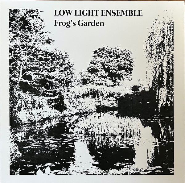Low Light Ensemble — Frog's Garden