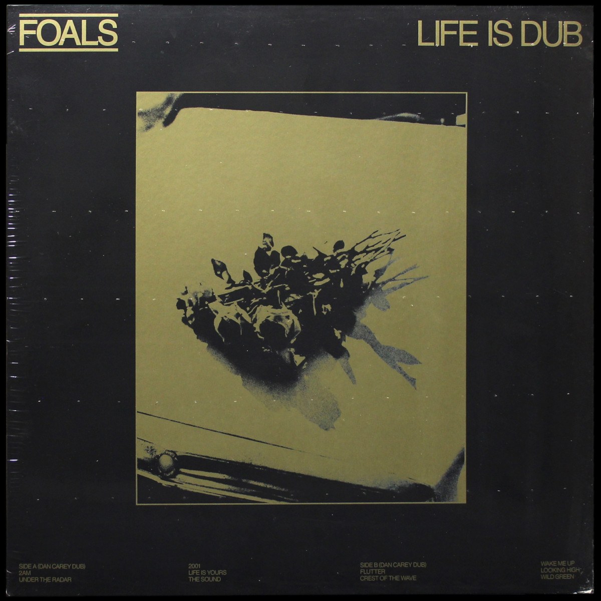 Foals — Life Is Dub