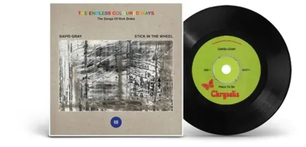 David Gray — The Endless Coloured Ways: The Songs of Nick Drake