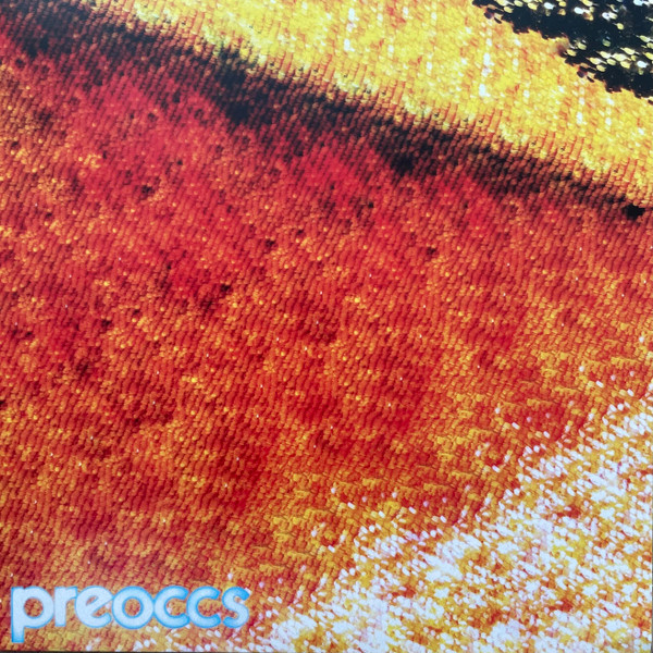 Preoccupations — Mur/Ponr