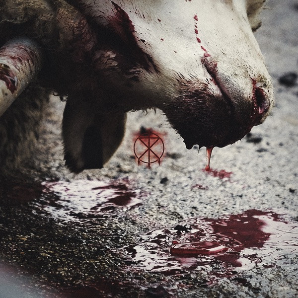 To The Grave — Director's Cuts