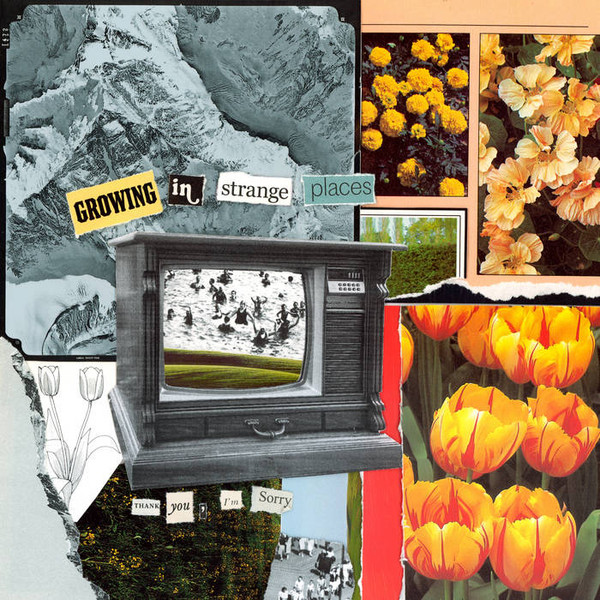 Thank You, I'm Sorry — Growing in Strange Places