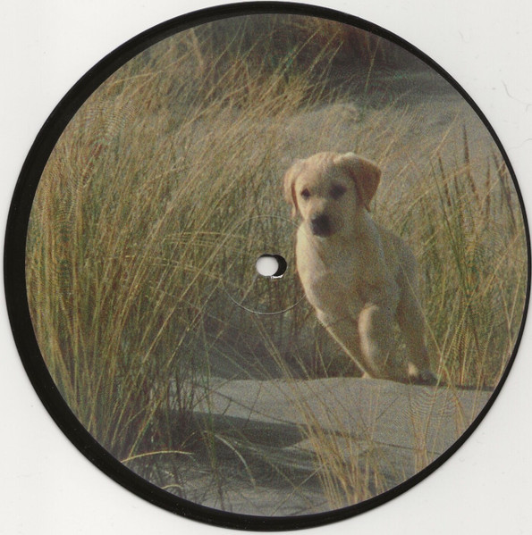 Barking Light Orchestra — The Theme From 'The Long March'