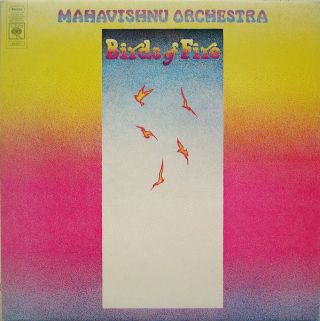 The Salsoul Orchestra — Magic Bird Of Fire
