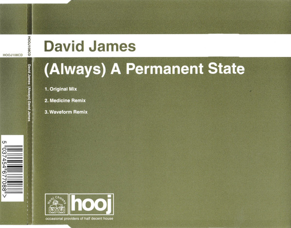 David James — (Always) A Permanent State
