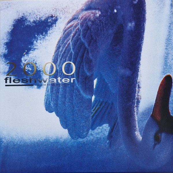 Fleshwater — 2000: In Search Of The Endless Sky