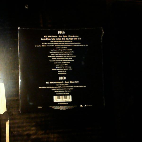 Wilson Dennis, May Brian, Taylor Roger, Hawkins Taylor — Holy Man