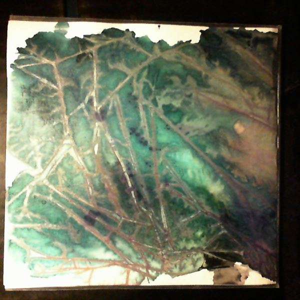 Windy & Carl — I Walked Alone / At Night