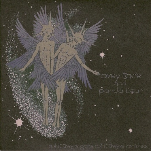 Animal Collective — Spirit They're Gone, Spirit They've Vanished