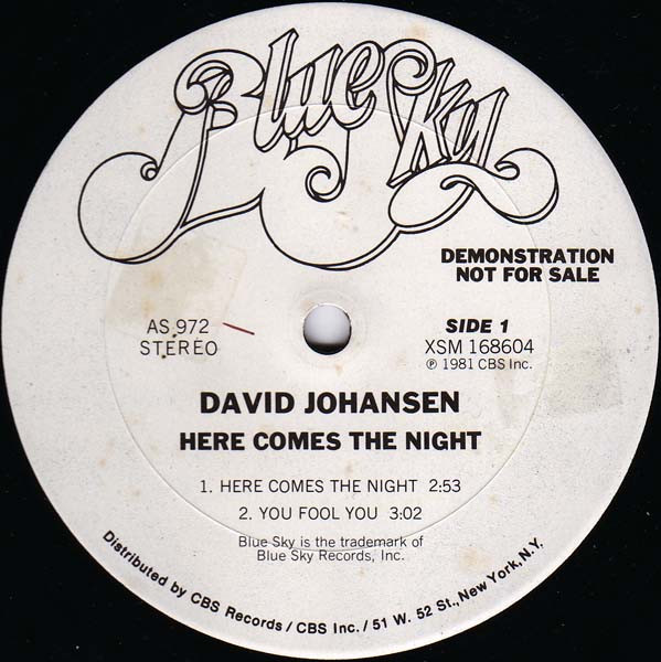 Johansen David (New York Dolls) — Here Comes the Night
