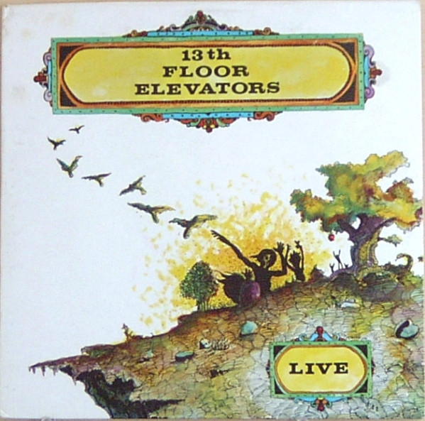 13th Floor Elevators — Live