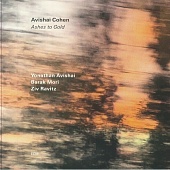 Avishai Cohen — Ashes To Gold