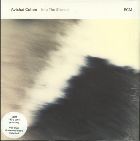 Avishai Cohen — Into The Silence