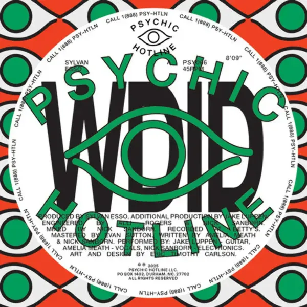 Sylvan Esso — WDID b/w KEEP ON Релиз 2026