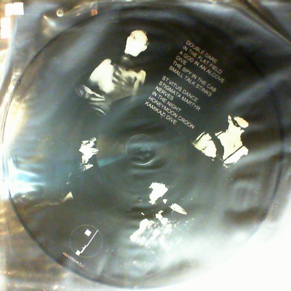 Bauhaus — In The Flat Field