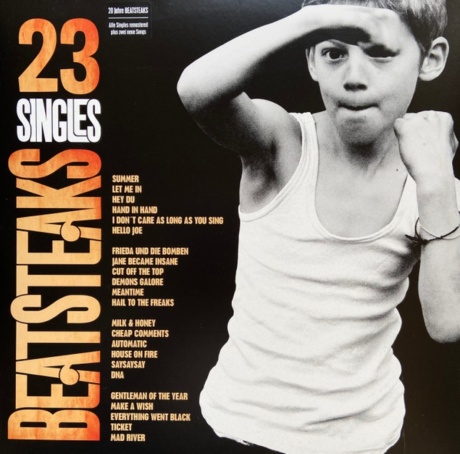 BEATSTEAKS — 23 Singles