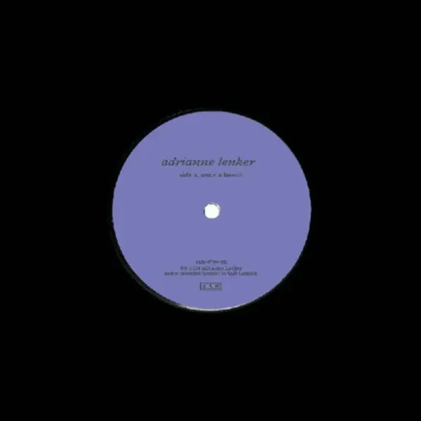 Adrianne Lenker — Once A Bunch / Who Can Say