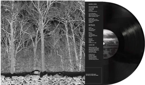 Pile — Sunshine & Balance Beams