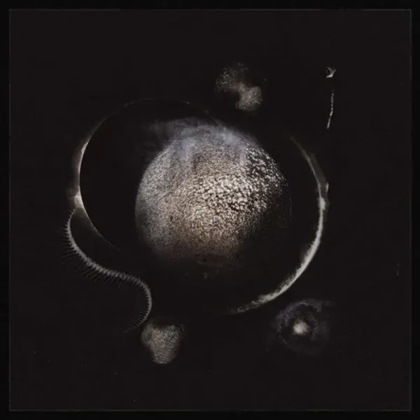 Enthroned — Cold Black Suns 2019